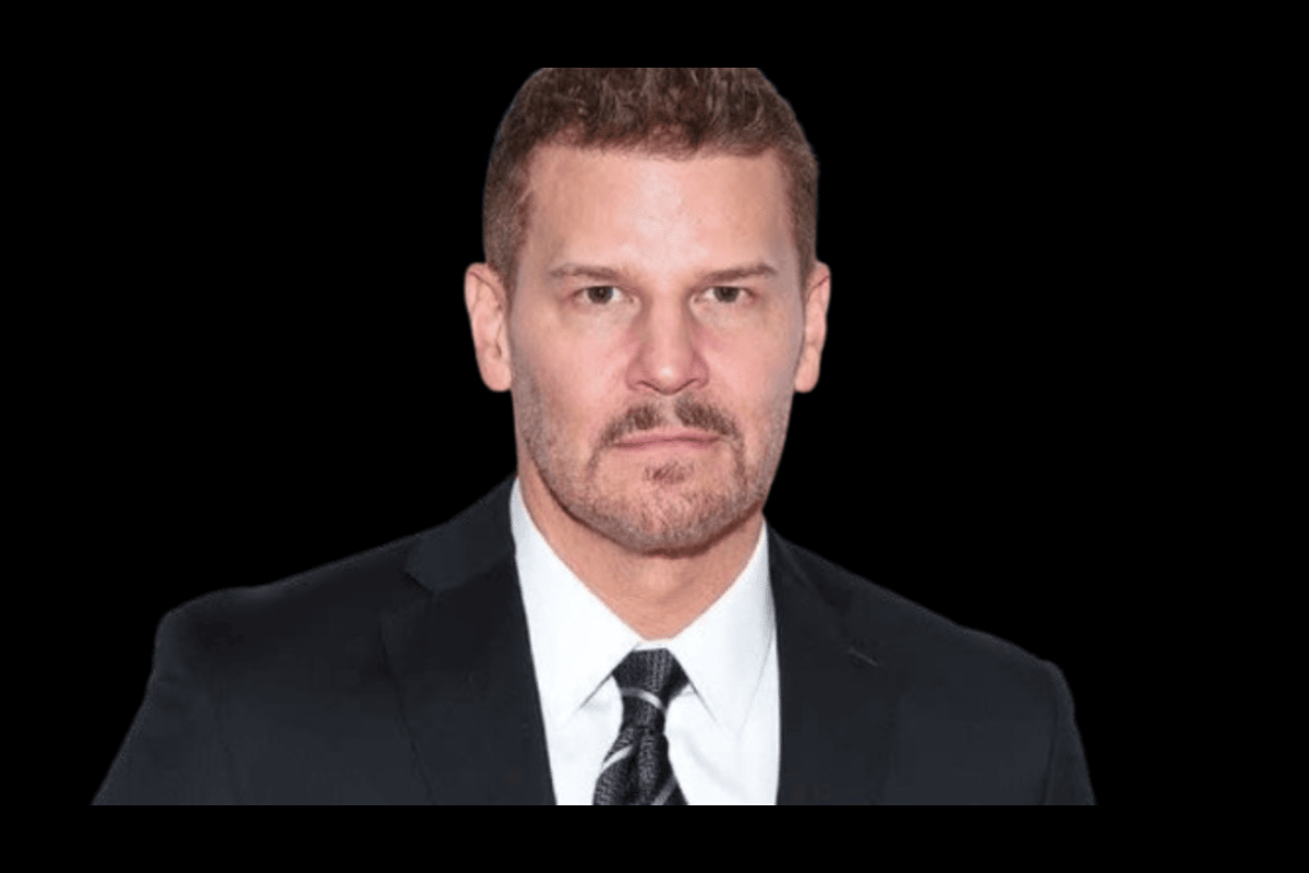 Discovering t he artistic genius of David borhaz: A complete guide