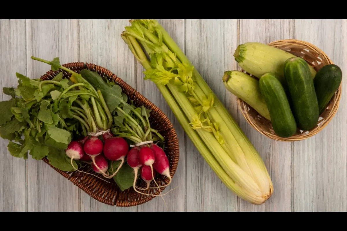 Pravi Celer : the amazing vegetable you need in your life.